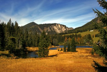 广州增城区10民间私贷攻略：揭秘低成本借贷的秘密