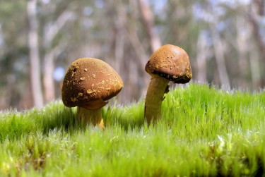 广州增城区10私人老板放款：轻松融资的秘密通道